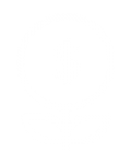 Entrepreneurship, Venture Capital And New Technologies